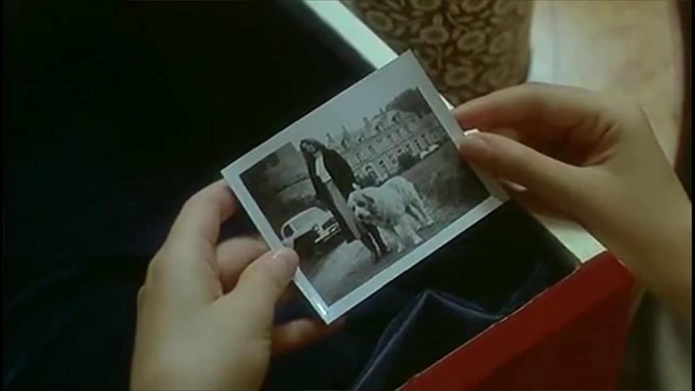 真夜中の刑事／PYTHON357の画像