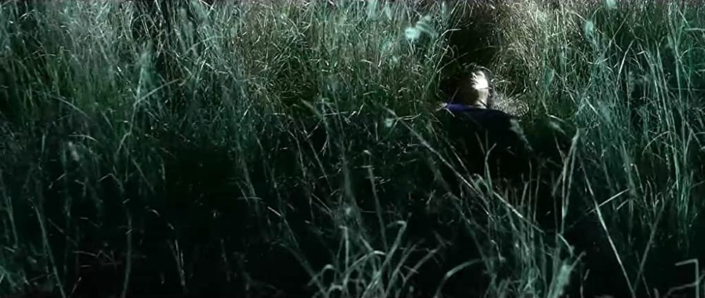 かちこみ! ドラゴン・タイガー・ゲートの画像