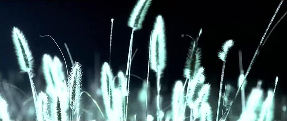 かちこみ! ドラゴン・タイガー・ゲートの画像