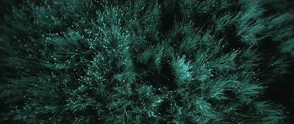 かちこみ! ドラゴン・タイガー・ゲートの画像