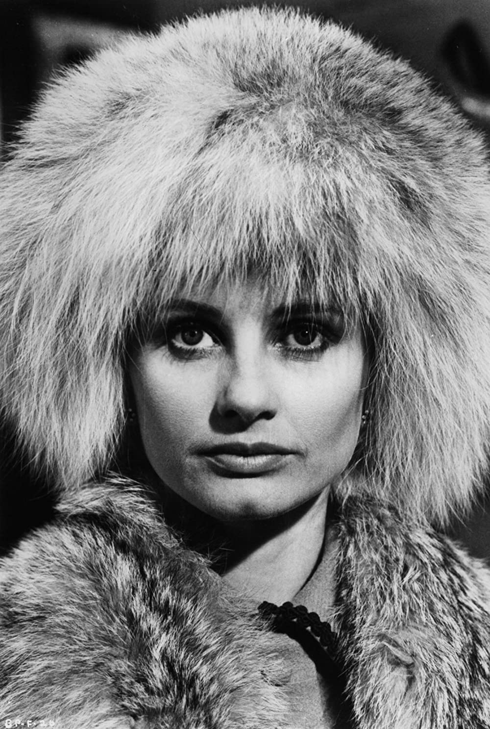 軍用列車の画像