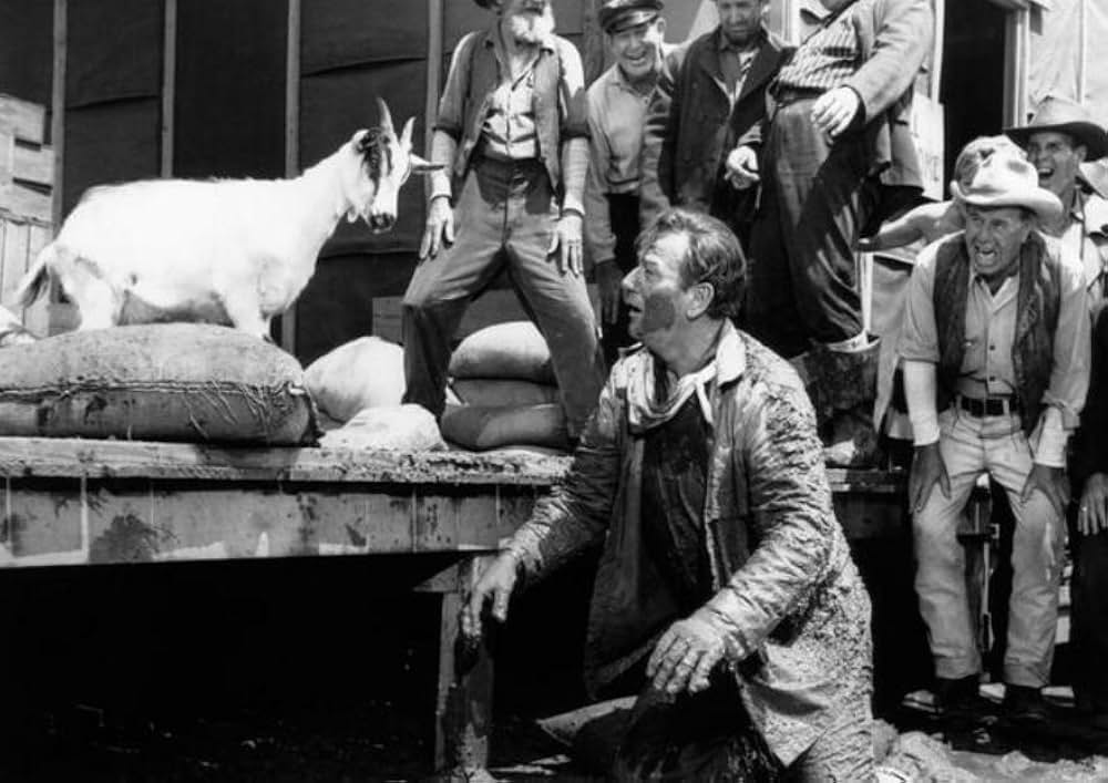 アラスカ魂の画像