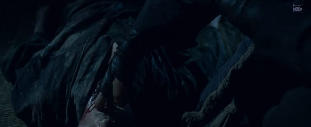 忍びの国の画像