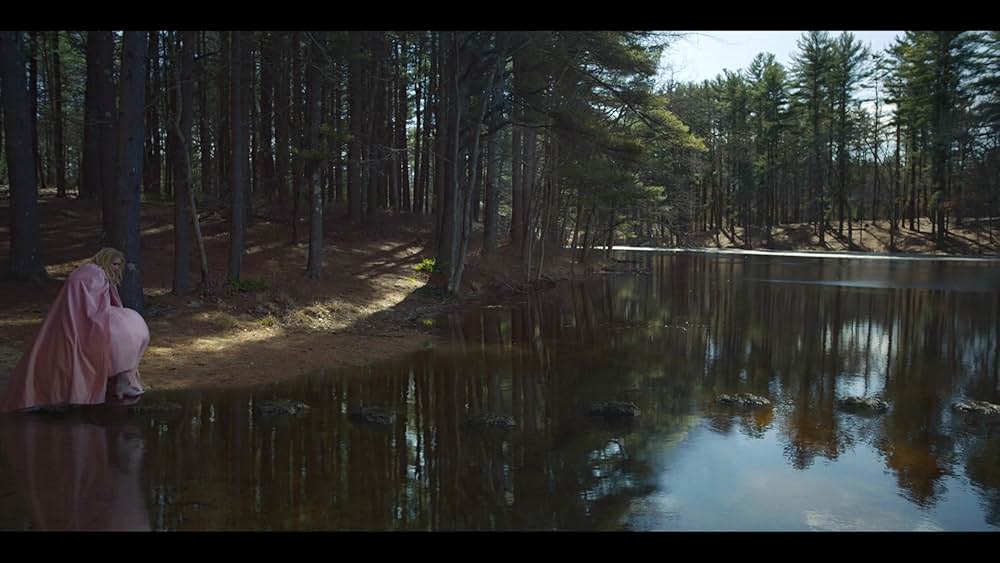 フェアリー・ゴッドマザーの画像