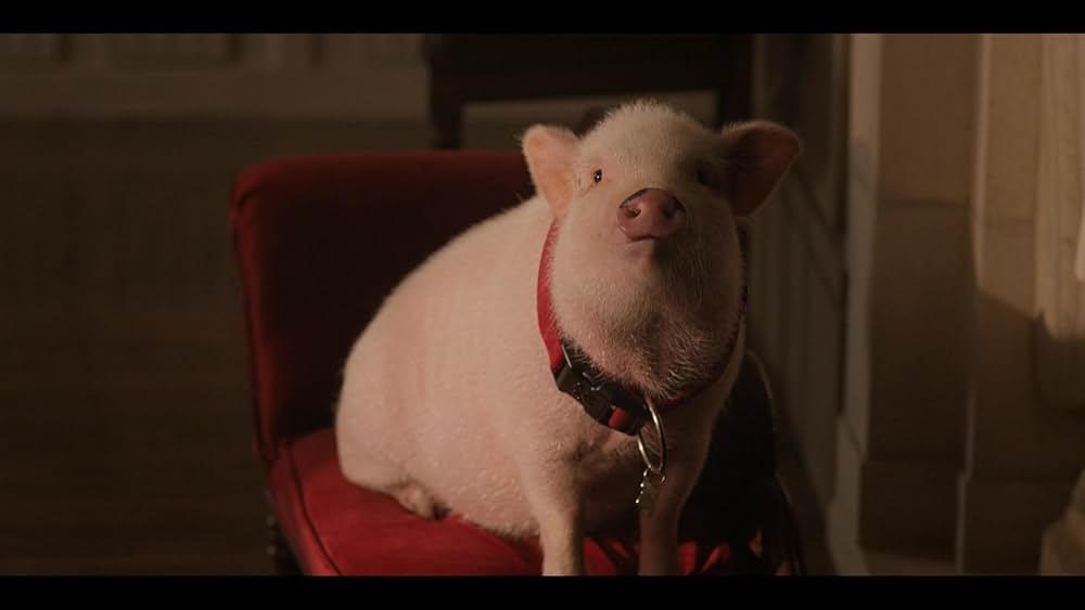 フェアリー・ゴッドマザーの画像