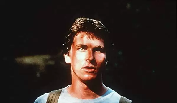 コーンウォールの森への画像