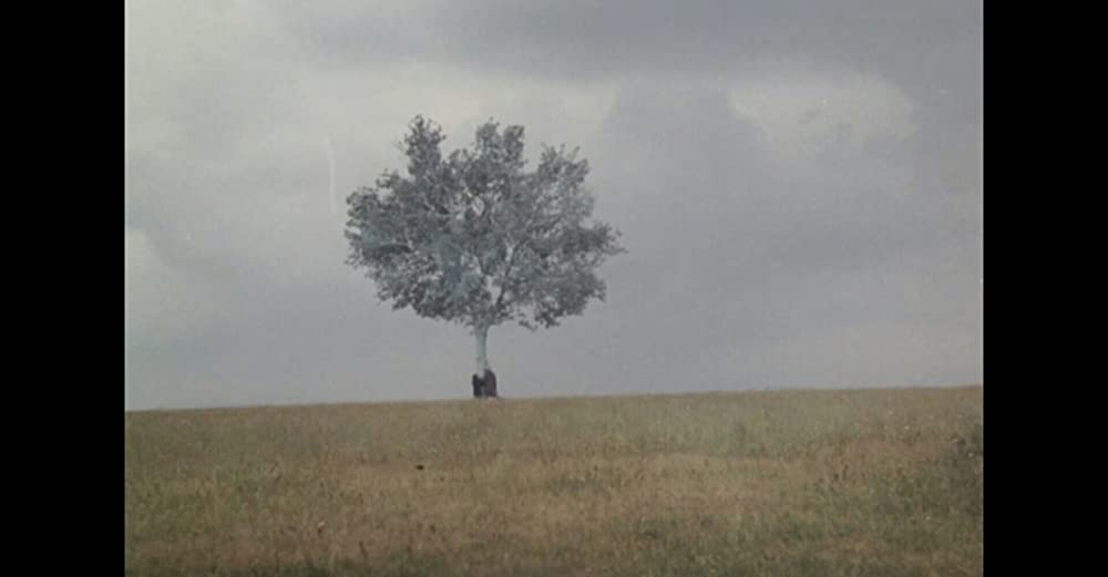 霧の中の風景の画像