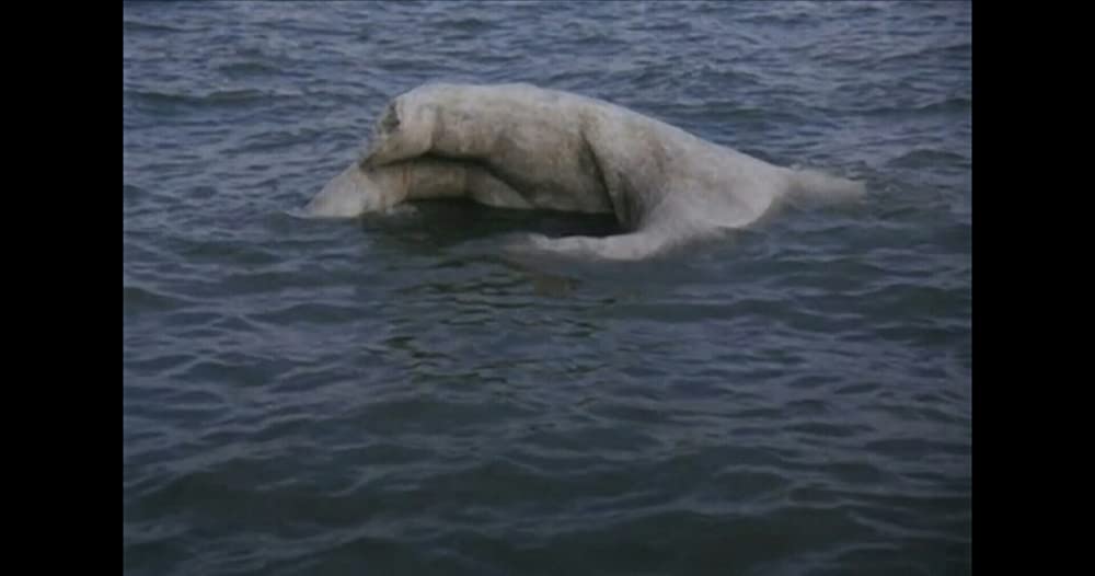 霧の中の風景の画像