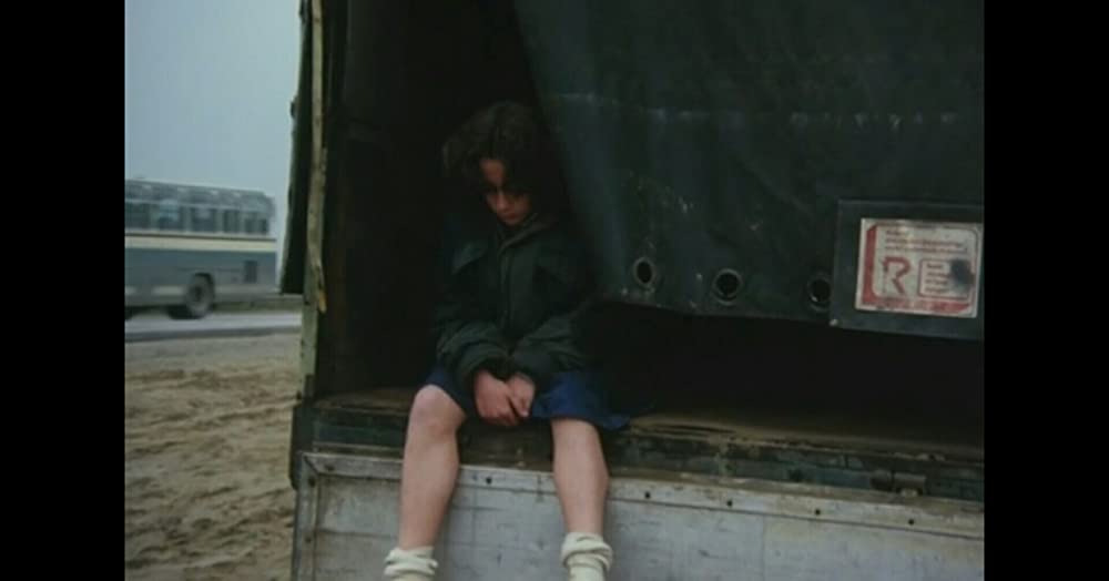 霧の中の風景の画像