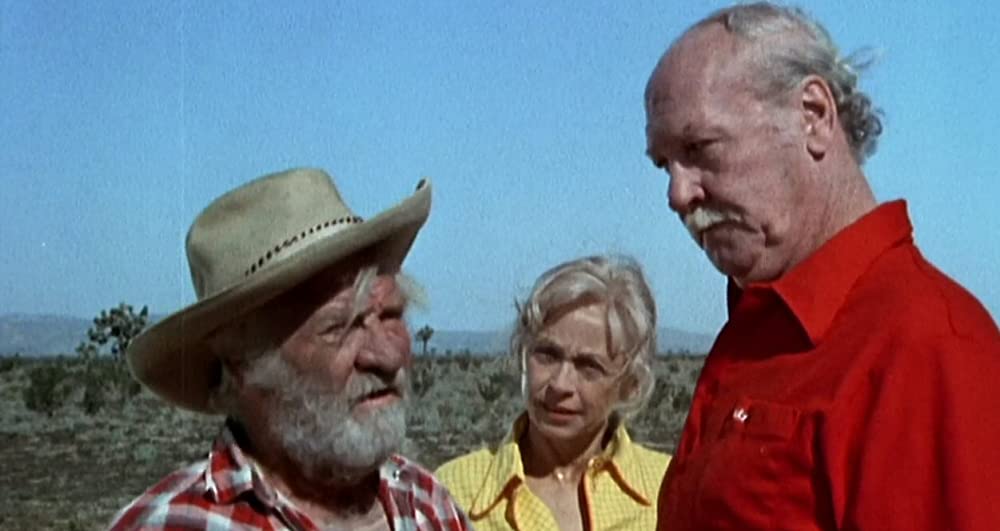 サランドラの画像