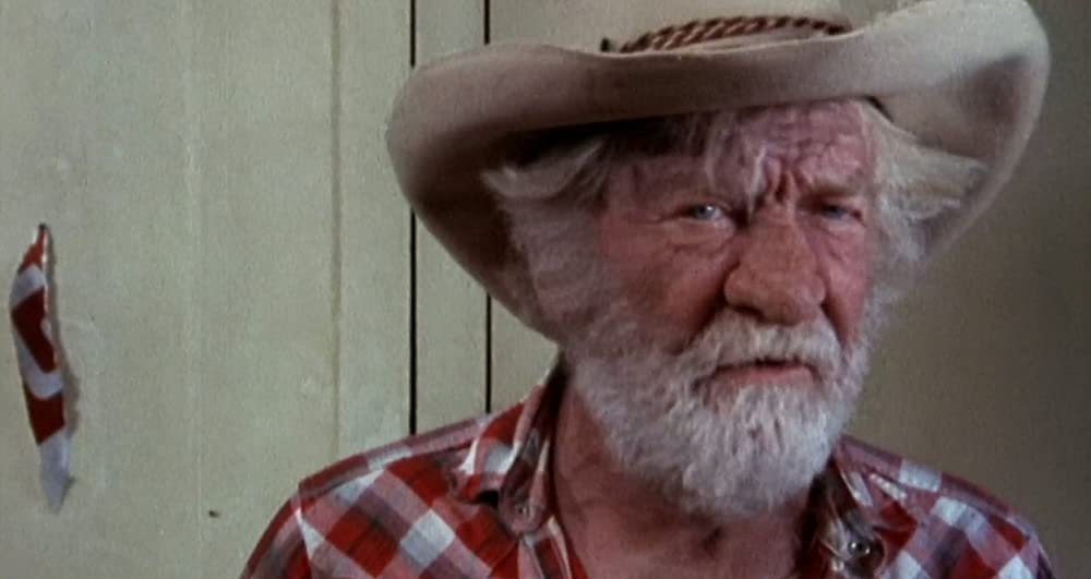 サランドラの画像