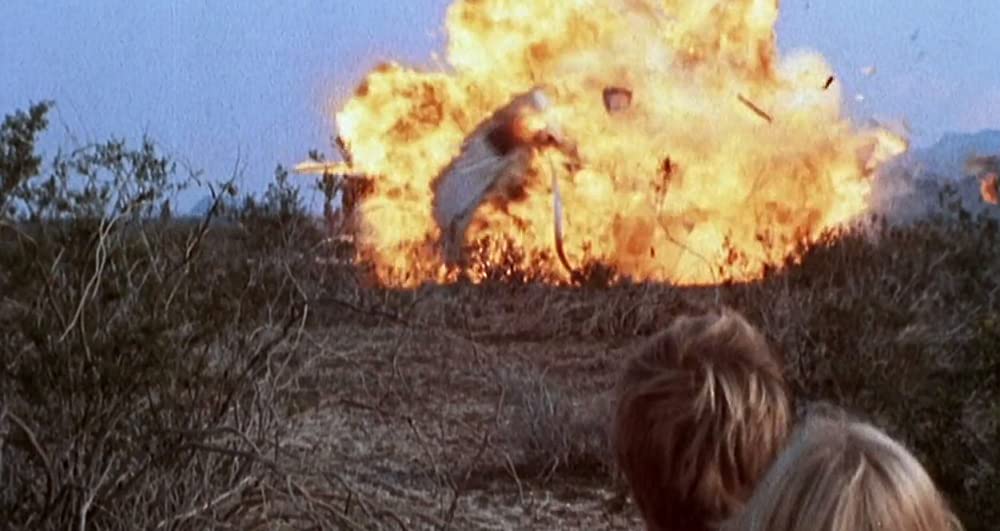 サランドラの画像