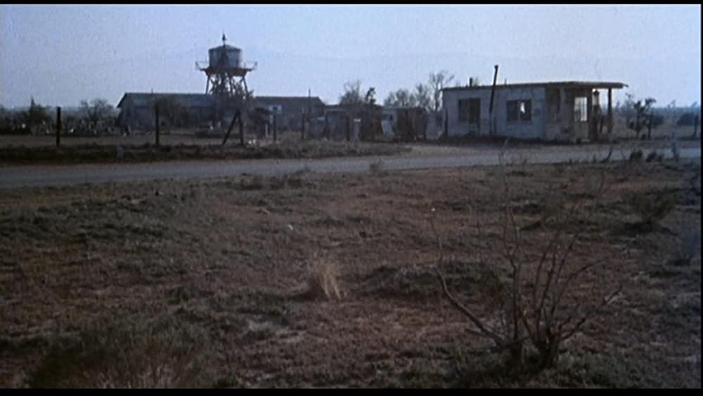 サランドラの画像