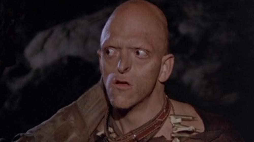 サランドラの画像