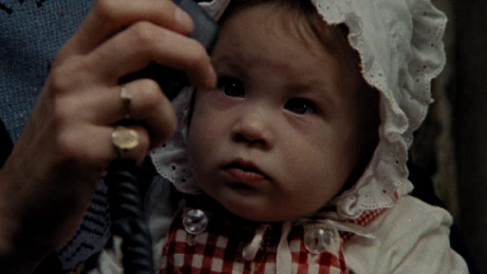 サランドラの画像