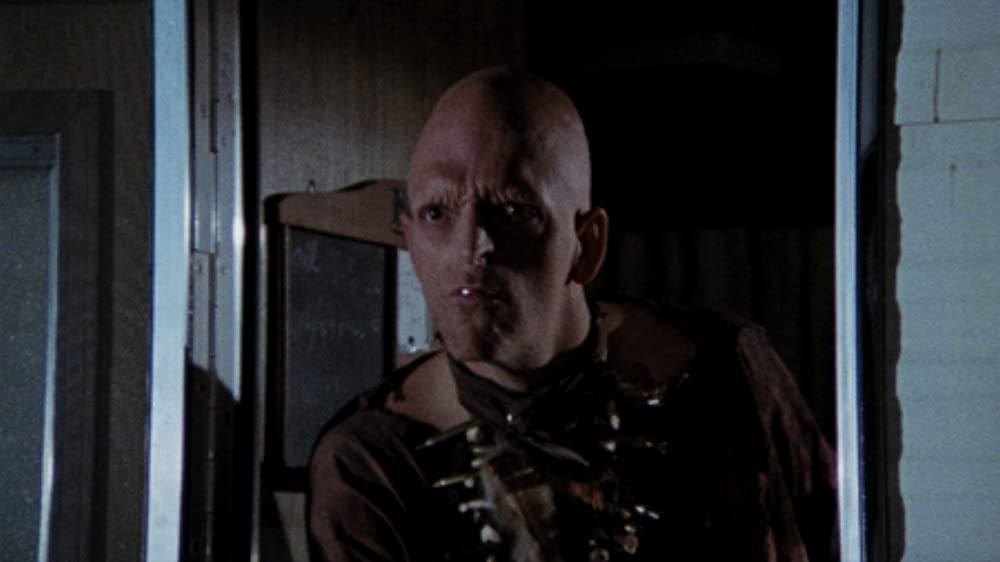 サランドラの画像