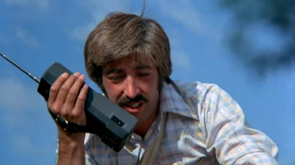 サランドラの画像