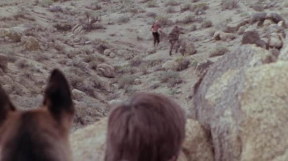 サランドラの画像