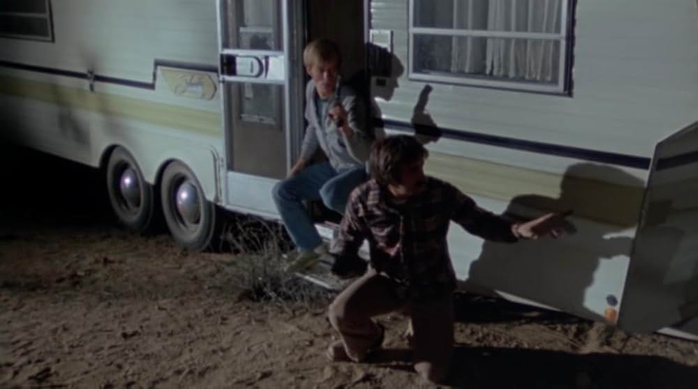 サランドラの画像