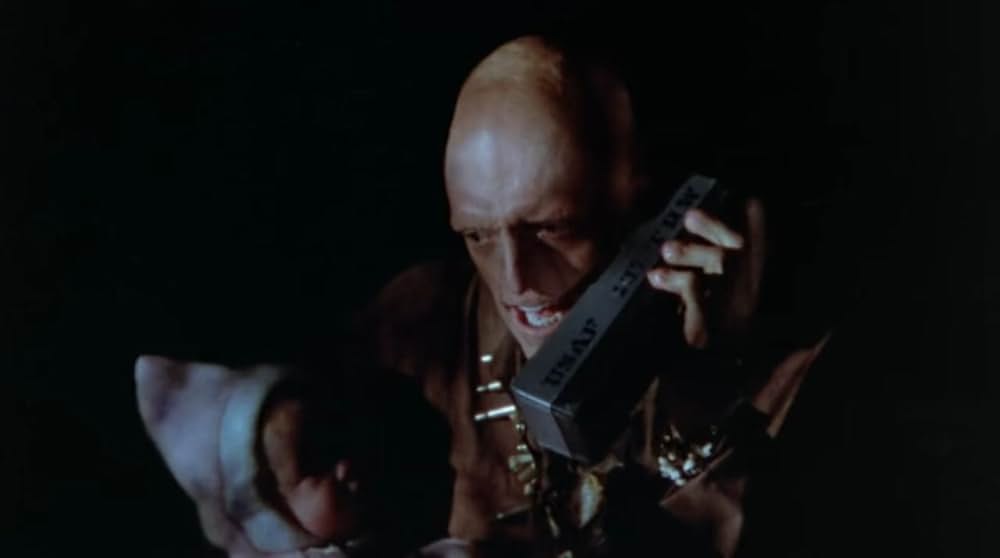 サランドラの画像