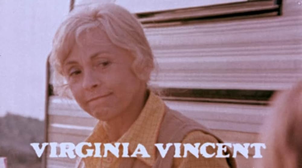 サランドラの画像