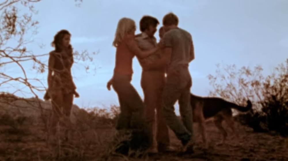 サランドラの画像