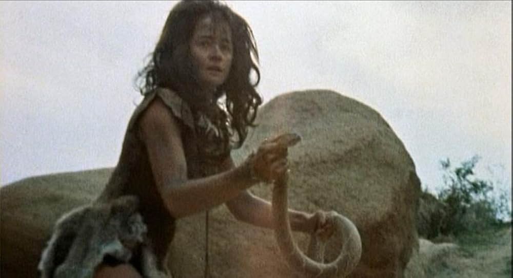 サランドラの画像