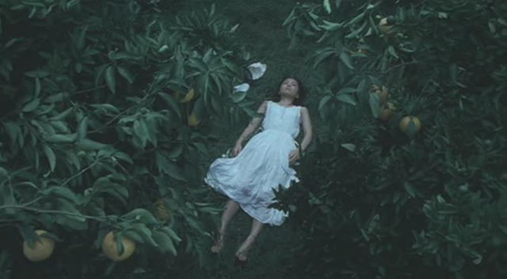 渚のシンドバッドの画像