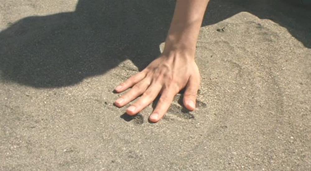 渚のシンドバッドの画像