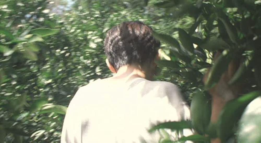 渚のシンドバッドの画像