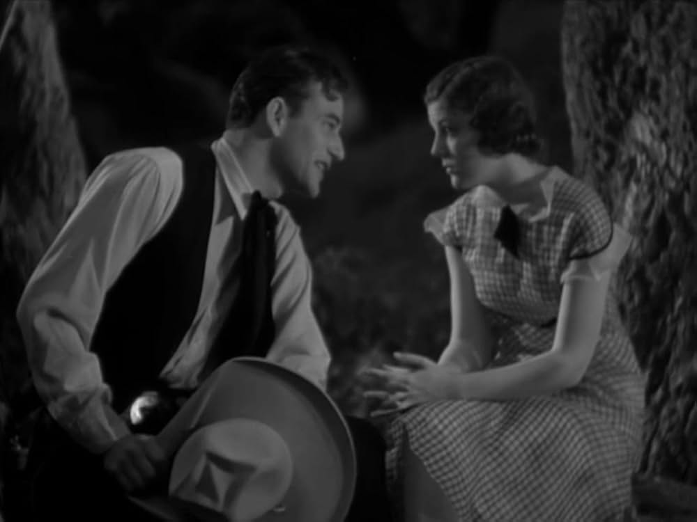 テキサスの若武者の画像