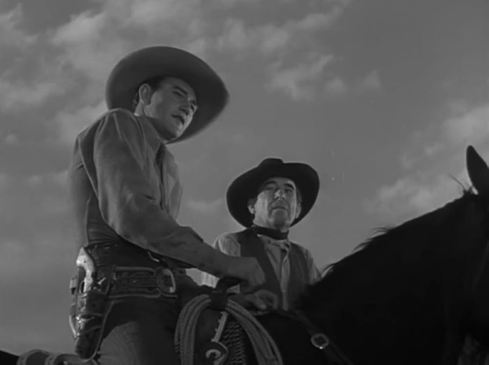 テキサスの若武者の画像