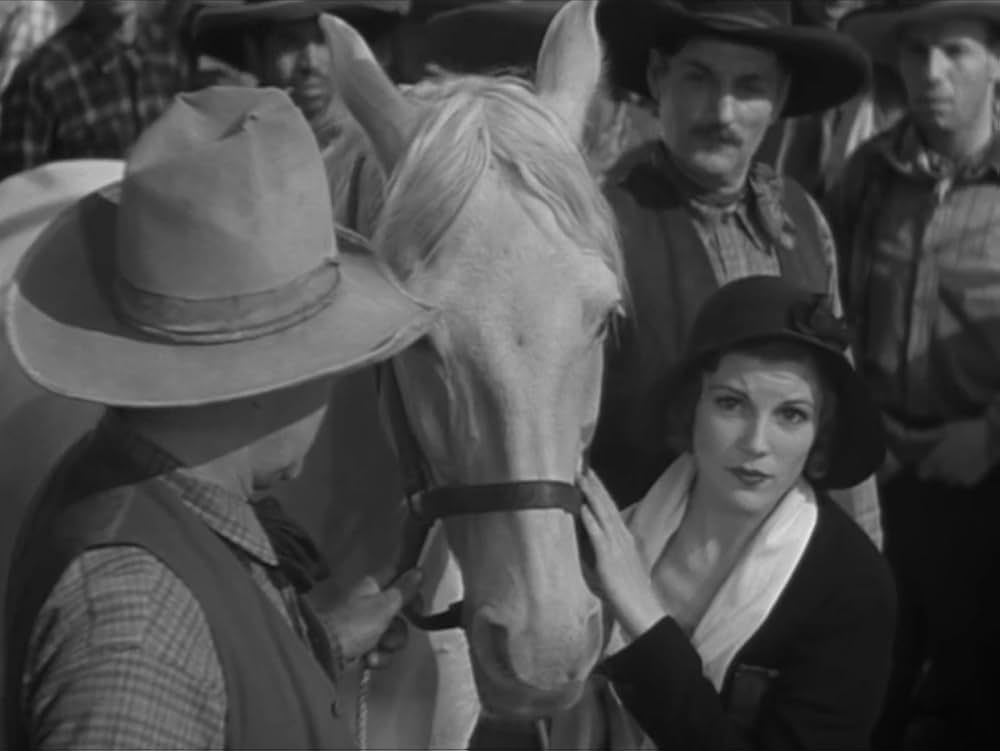 テキサスの若武者の画像