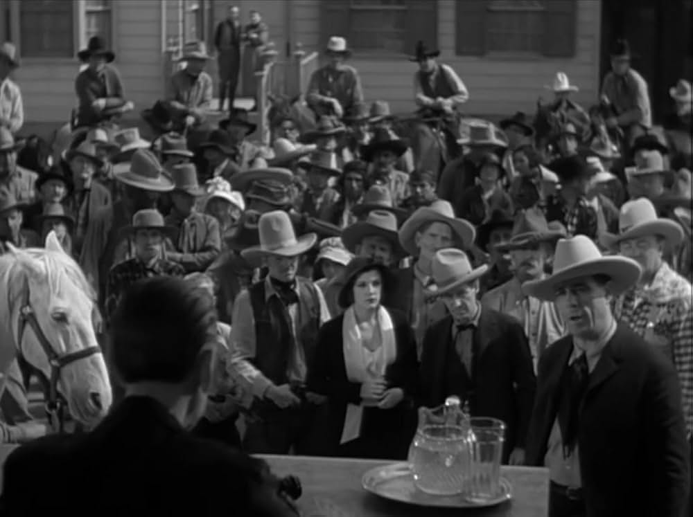 テキサスの若武者の画像