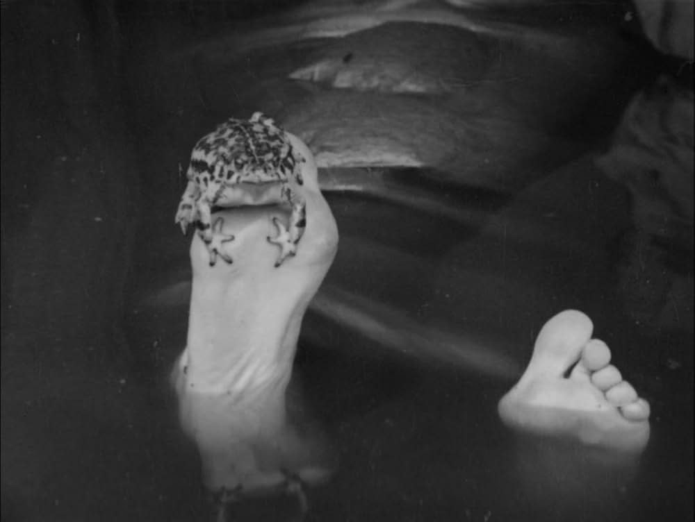 担え銃／チャップリンの兵隊さんの画像