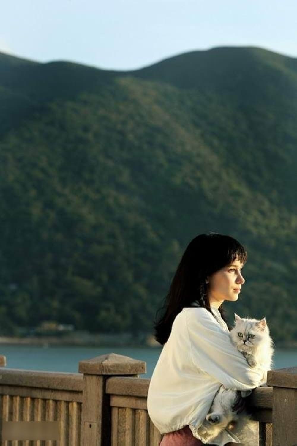 狼牙 -ライジング・フィスト-の画像