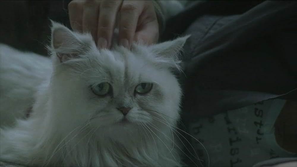 狼牙 -ライジング・フィスト-の画像