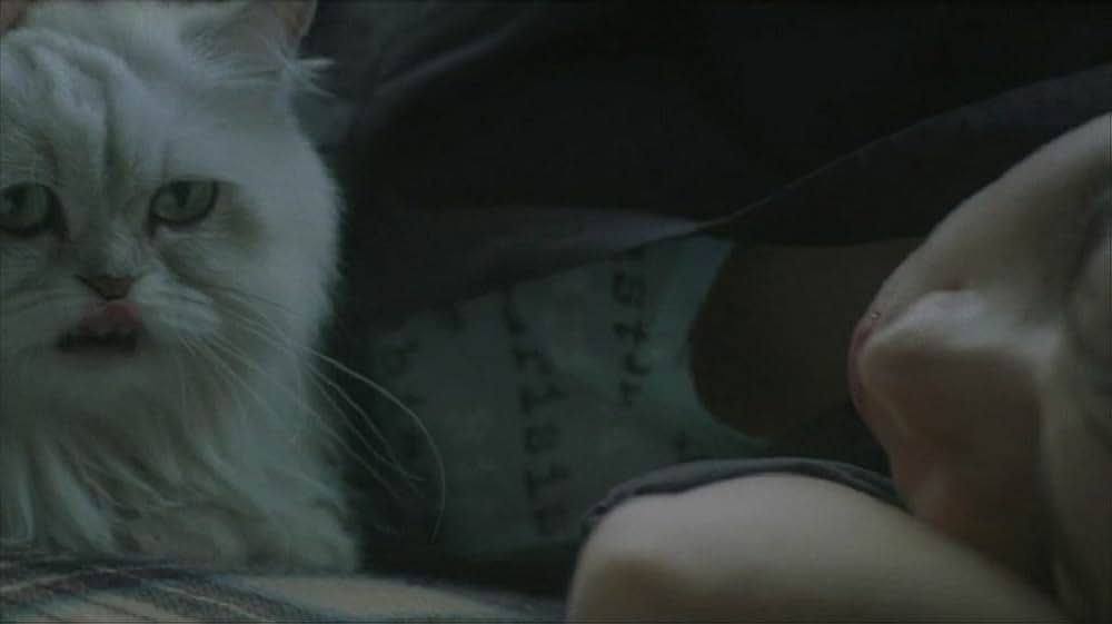 狼牙 -ライジング・フィスト-の画像