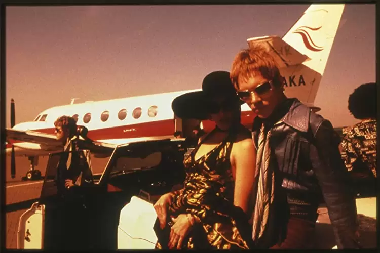 ベルベット・ゴールドマインの画像