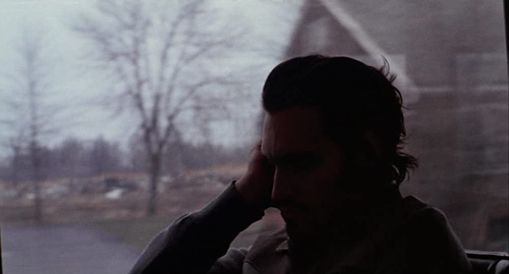 バッファロー'66の画像