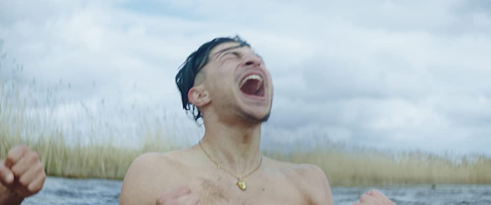 デンマークの息子の画像