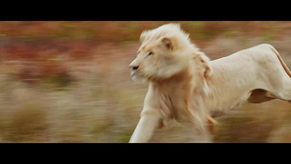 ミアとホワイトライオン 奇跡の1300⽇の画像