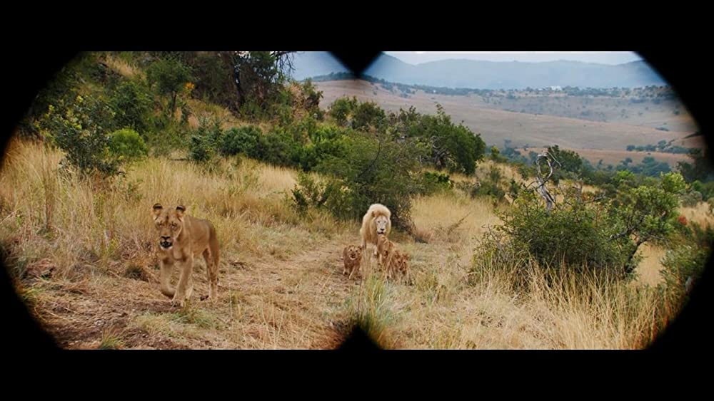 ミアとホワイトライオン 奇跡の1300⽇の画像