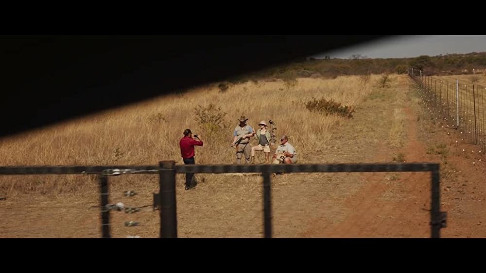 ミアとホワイトライオン 奇跡の1300⽇の画像