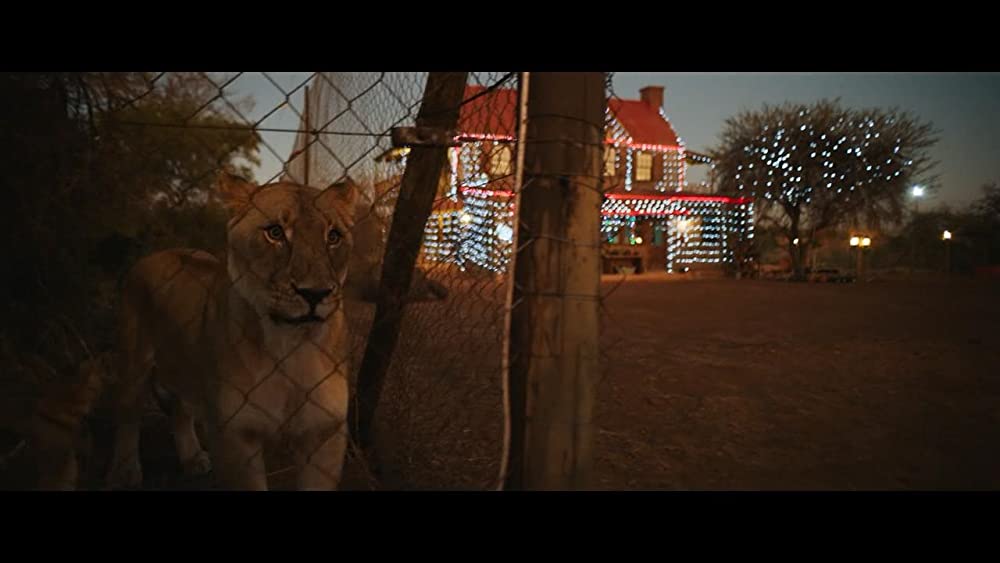 ミアとホワイトライオン 奇跡の1300⽇の画像