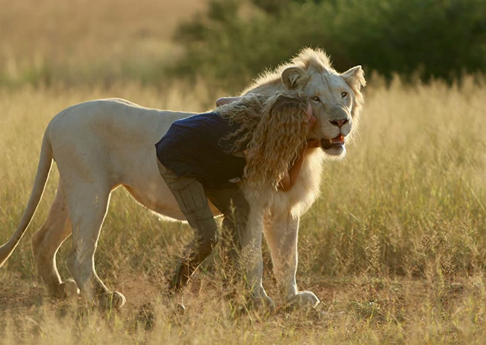「ミアとホワイトライオン 奇跡の1300⽇」Thor the White Lion & Daniah De Villiersの画像
