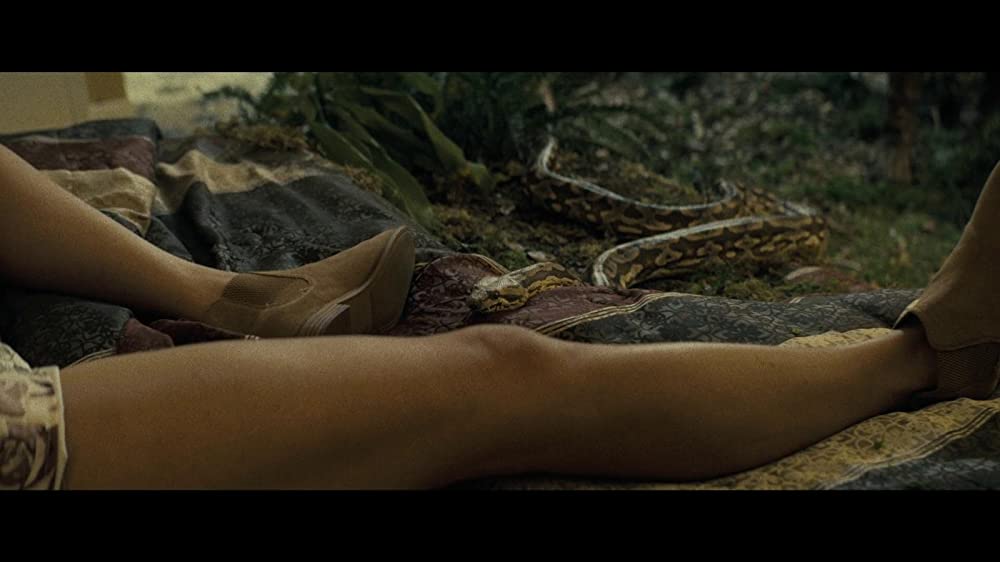 シンクロニックの画像