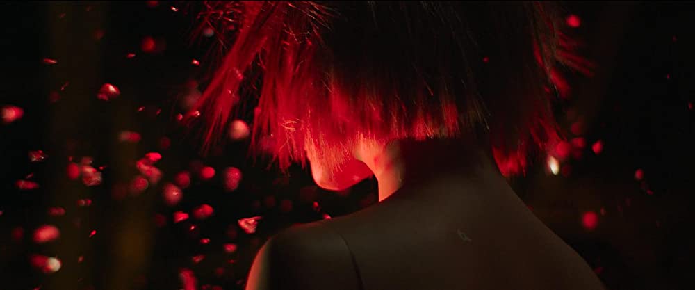 ファブリックの画像