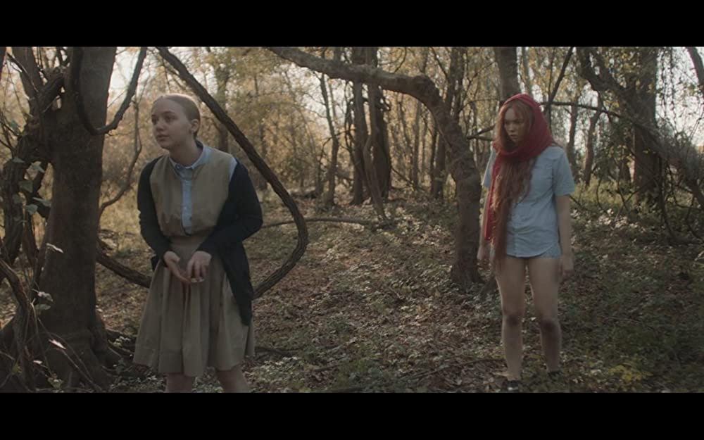 ダーリンの画像