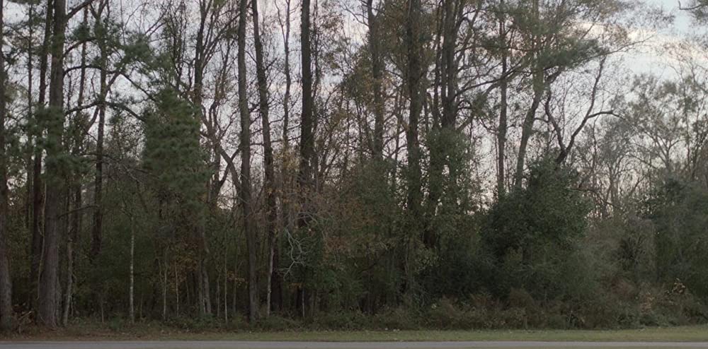 ダーリンの画像